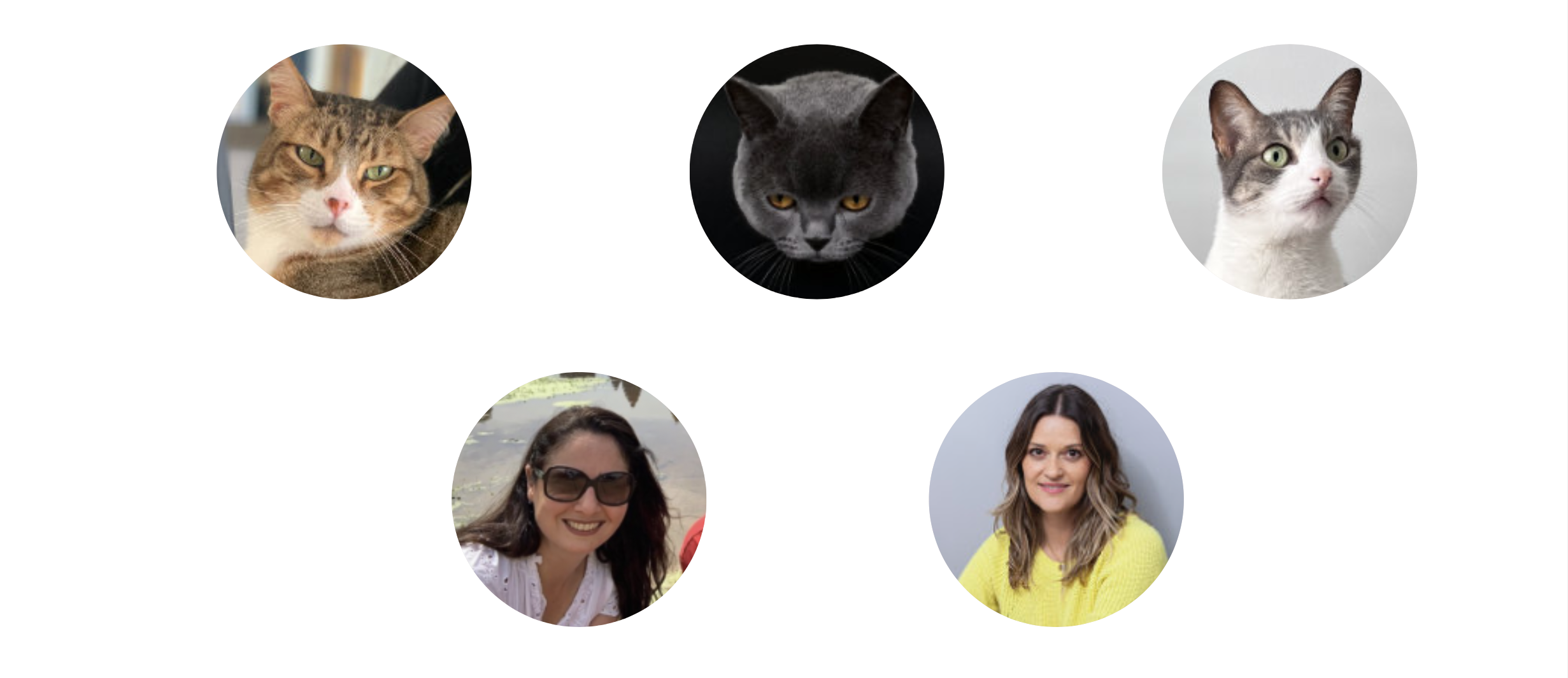 Nuestro Equipo